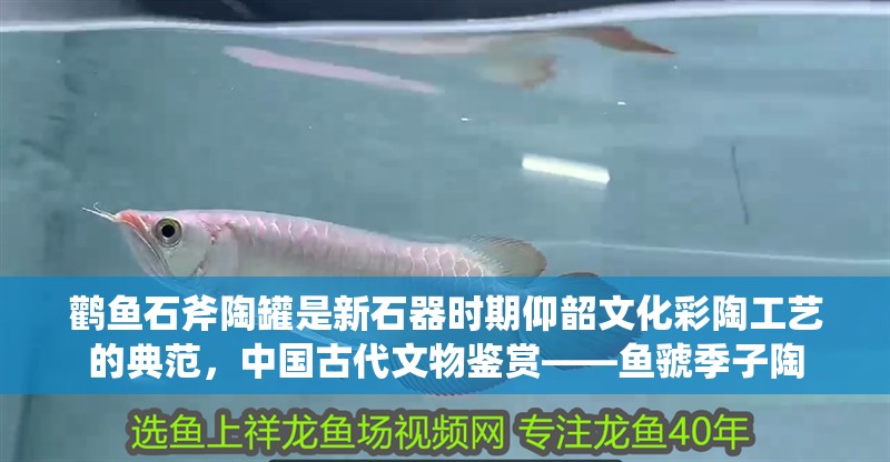 鸛魚石斧陶罐是新石器時期仰韶文化彩陶工藝的典范，中國古代文物鑒賞——魚虢季子陶