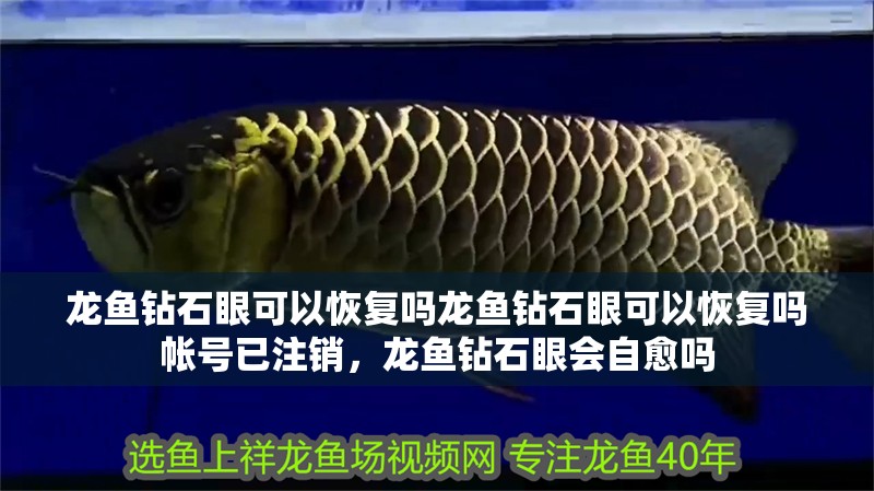 龍魚鉆石眼可以恢復嗎龍魚鉆石眼可以恢復嗎帳號已注銷，龍魚鉆石眼會自愈嗎