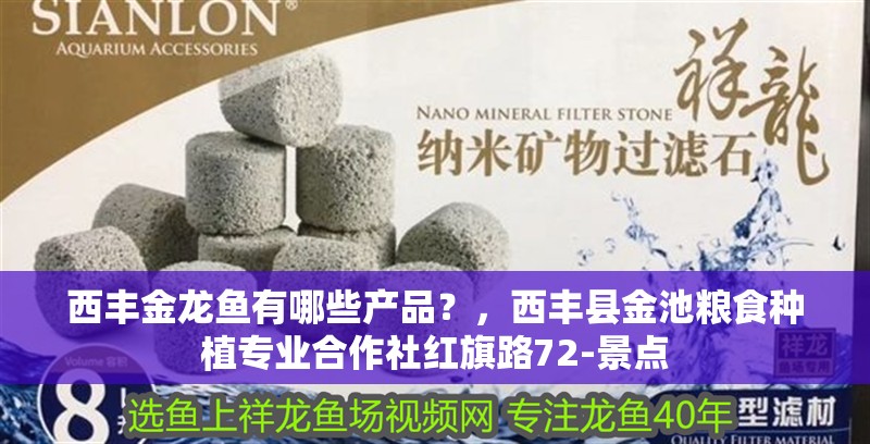 西豐金龍魚有哪些產品？，西豐縣金池糧食種植專業合作社紅旗路72-景點 西豐金龍魚有哪些產品？，西豐縣金池糧食種植專業合作社紅旗路72-景點 觀賞魚百科 第4張