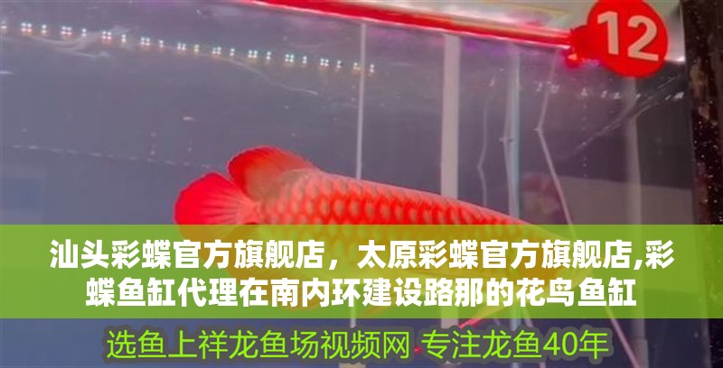 汕頭彩蝶官方旗艦店，太原彩蝶官方旗艦店,彩蝶魚缸代理在南內(nèi)環(huán)建設路那的花鳥魚缸