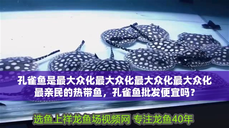 孔雀魚是最大眾化最大眾化最大眾化最大眾化最親民的熱帶魚，孔雀魚批發便宜嗎？