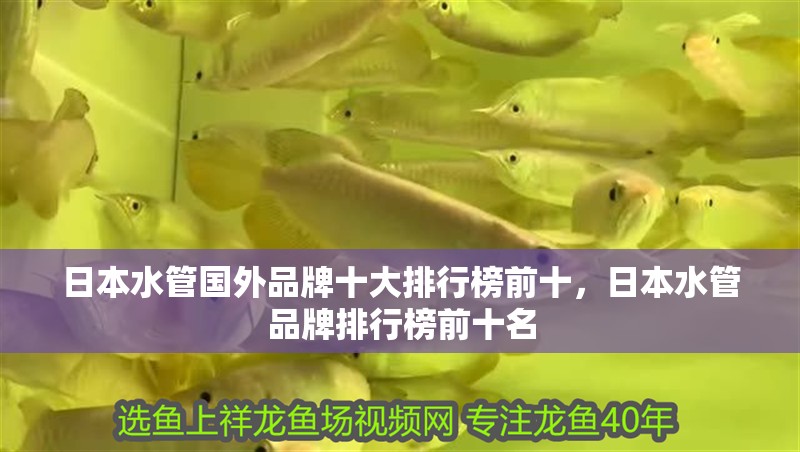 日本水管國外品牌十大排行榜前十，日本水管品牌排行榜前十名
