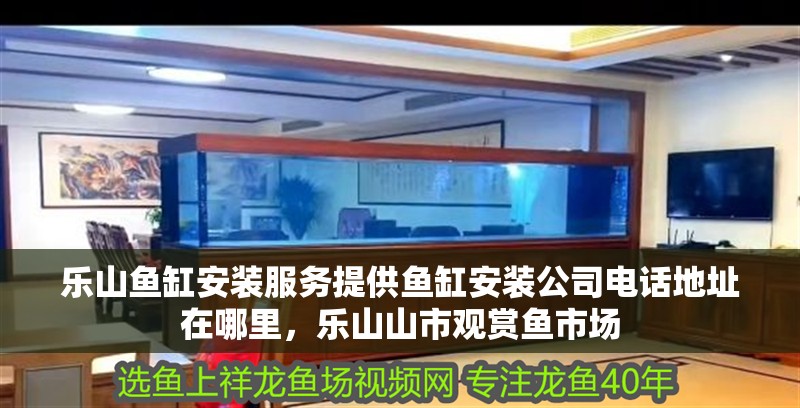 樂山魚缸安裝服務(wù)提供魚缸安裝公司電話地址在哪里，樂山山市觀賞魚市場