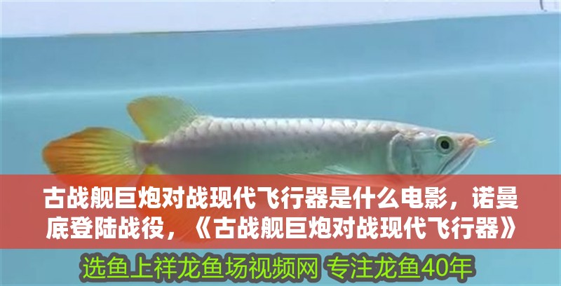 古戰艦巨炮對戰現代飛行器是什么電影，諾曼底登陸戰役，《古戰艦巨炮對戰現代飛行器》