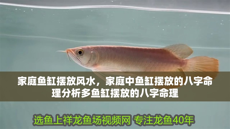 家庭魚缸擺放風水，家庭中魚缸擺放的八字命理分析多魚缸擺放的八字命理