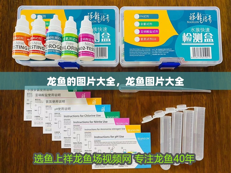 龍魚的圖片大全，龍魚圖片大全