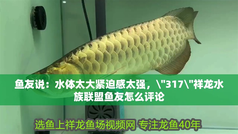 魚友說：水體太大緊迫感太強，\