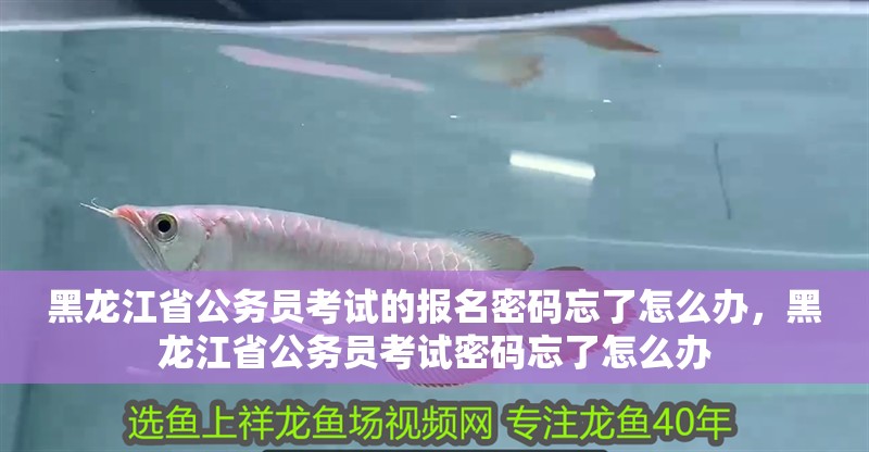 黑龍江省公務員考試的報名密碼忘了怎么辦，黑龍江省公務員考試密碼忘了怎么辦