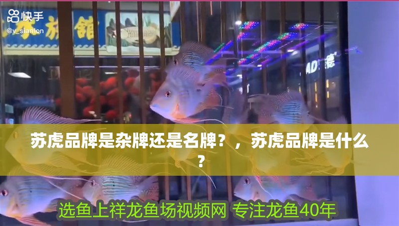 蘇虎品牌是雜牌還是名牌？，蘇虎品牌是什么？