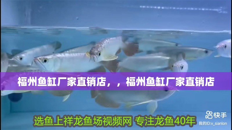 福州魚缸廠家直銷店，，福州魚缸廠家直銷店