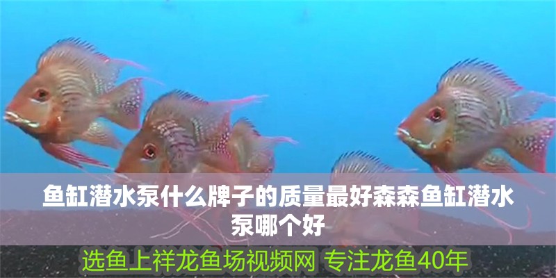 魚缸潛水泵什么牌子的質量最好森森魚缸潛水泵哪個好