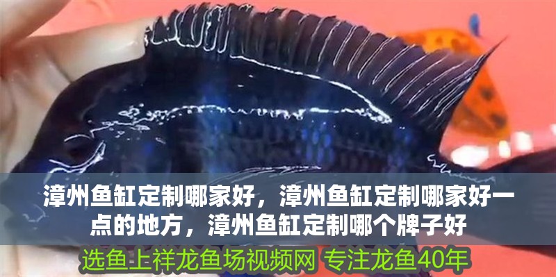 漳州魚缸定制哪家好，漳州魚缸定制哪家好一點的地方，漳州魚缸定制哪個牌子好