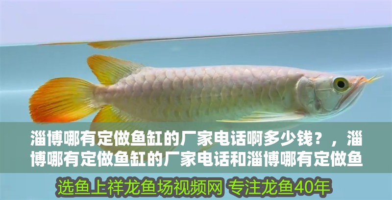 淄博哪有定做魚(yú)缸的廠家電話啊多少錢(qián)？，淄博哪有定做魚(yú)缸的廠家電話和淄博哪有定做魚(yú)缸的廠家電話