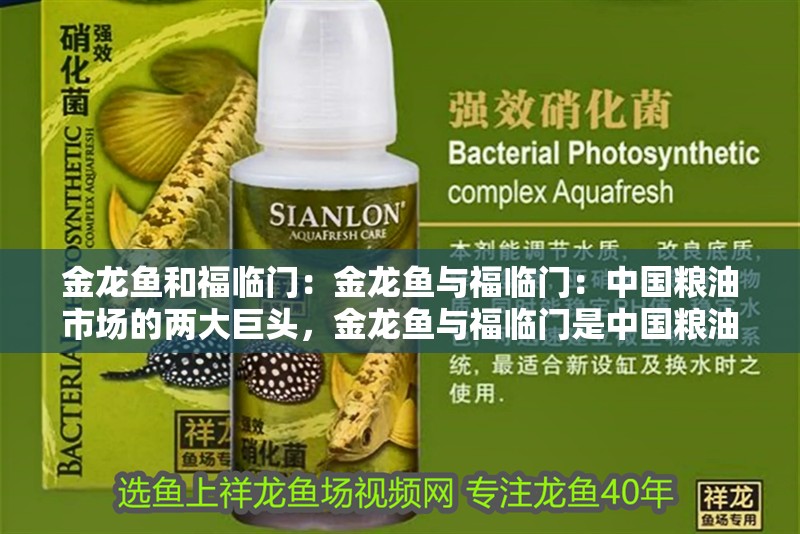 金龍魚和福臨門：金龍魚與福臨門：中國糧油市場的兩大巨頭，金龍魚與福臨門是中國糧油行業(yè)的兩大巨頭
