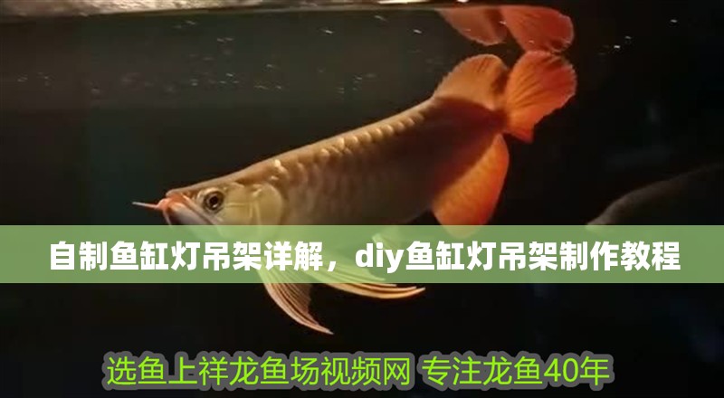 自制魚缸燈吊架詳解，diy魚缸燈吊架制作教程