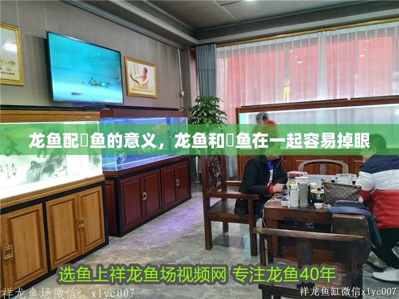 龍魚配魟魚的意義，龍魚和魟魚在一起容易掉眼