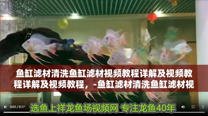 魚缸濾材清洗魚缸濾材視頻教程詳解及視頻教程詳解及視頻教程，-魚缸濾材清洗魚缸濾材視頻教程詳解及視頻教程
