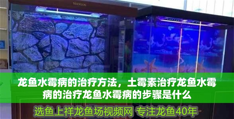 龍魚水霉病的治療方法，土霉素治療龍魚水霉病的治療龍魚水霉病的步驟是什么