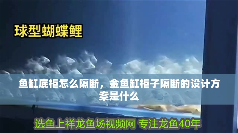 魚缸底柜怎么隔斷，金魚缸柜子隔斷的設計方案是什么