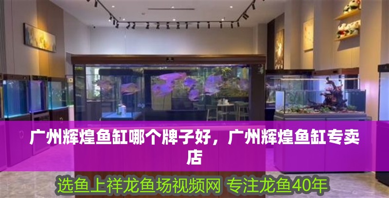 廣州輝煌魚缸哪個牌子好，廣州輝煌魚缸專賣店