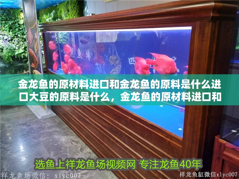 金龍魚的原材料進(jìn)口和金龍魚的原料是什么進(jìn)口大豆的原料是什么，金龍魚的原材料進(jìn)口和金龍魚的原料是什么