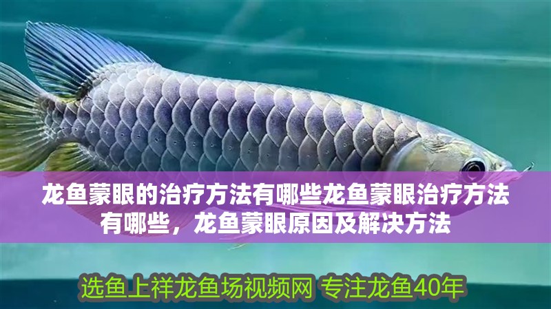 龍魚蒙眼的治療方法有哪些龍魚蒙眼治療方法有哪些，龍魚蒙眼原因及解決方法