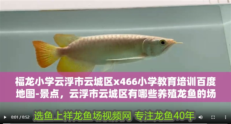 福龍小學云浮市云城區x466小學教育培訓百度地圖-景點，云浮市云城區有哪些養殖龍魚的場所？