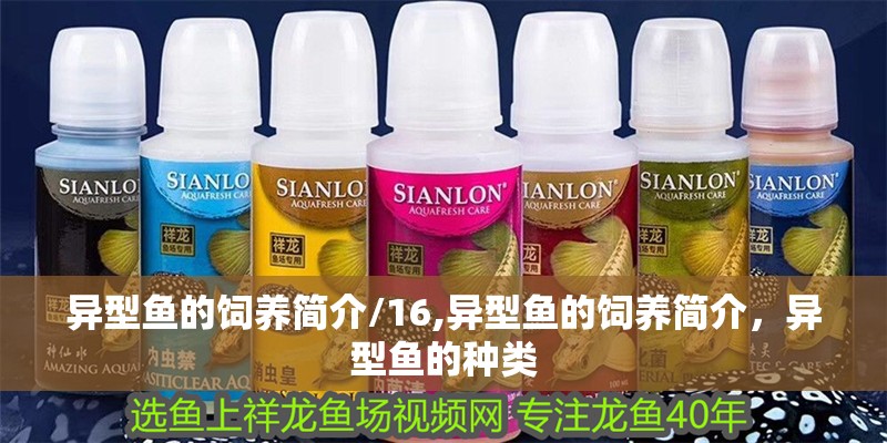 異型魚的飼養簡介/16,異型魚的飼養簡介，異型魚的種類