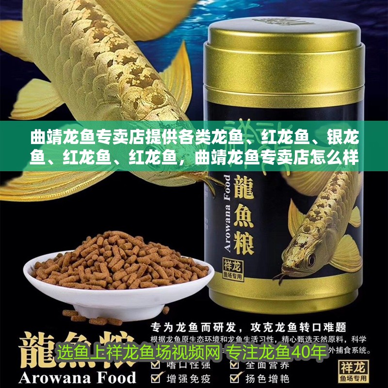 曲靖龍魚專賣店提供各類龍魚、紅龍魚、銀龍魚、紅龍魚、紅龍魚，曲靖龍魚專賣店怎么樣