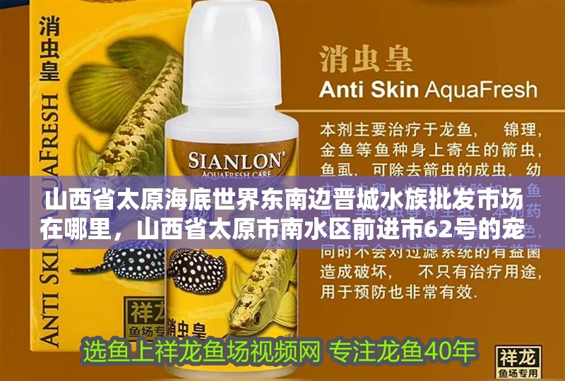 山西省太原海底世界東南邊晉城水族批發(fā)市場在哪里，山西省太原市南水區(qū)前進(jìn)市62號的寵物市場 山西省太原海底世界東南邊晉城水族批發(fā)市場在哪里，山西省太原市南水區(qū)前進(jìn)市62號的寵物市場 觀賞魚百科 第4張