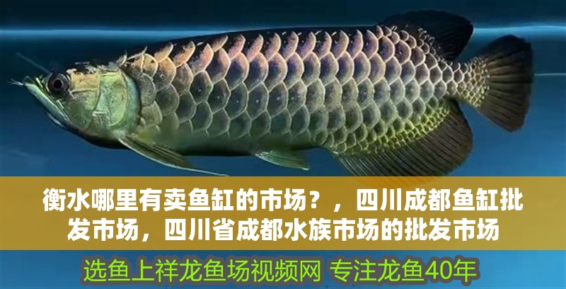 衡水哪里有賣魚缸的市場？，四川成都魚缸批發市場，四川省成都水族市場的批發市場