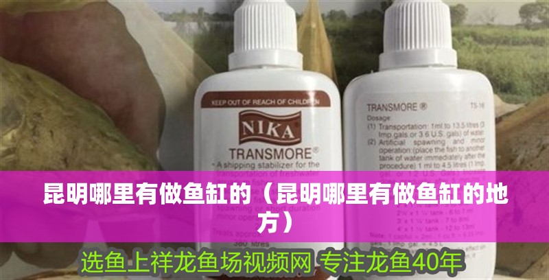 昆明哪里有做魚缸的（昆明哪里有做魚缸的地方）