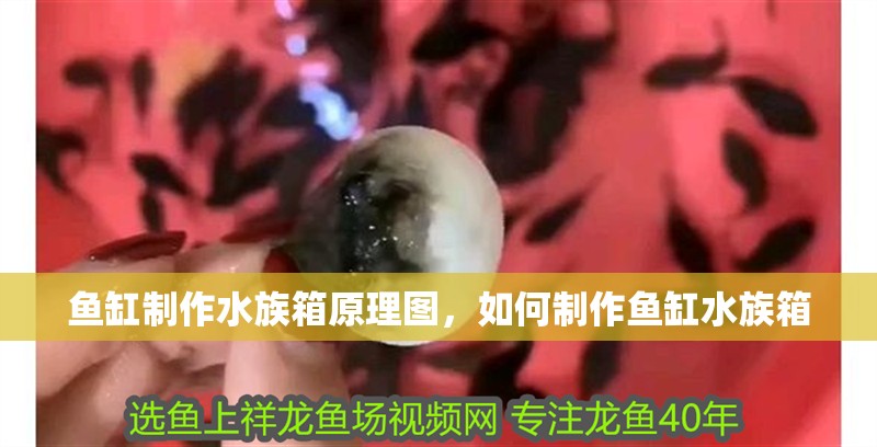 魚缸制作水族箱原理圖，如何制作魚缸水族箱