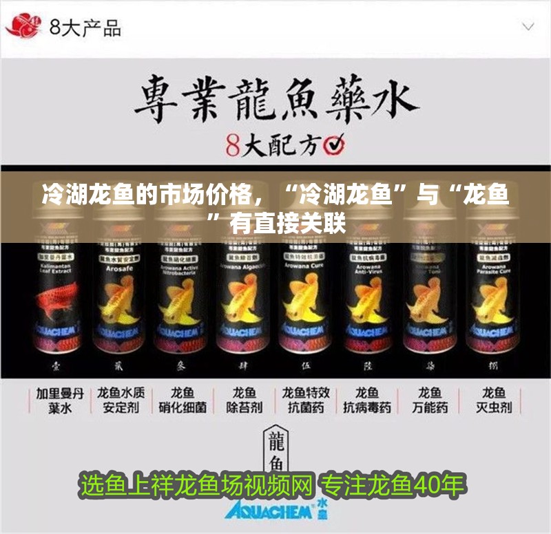 冷湖龍魚的市場價格，“冷湖龍魚”與“龍魚”有直接關聯