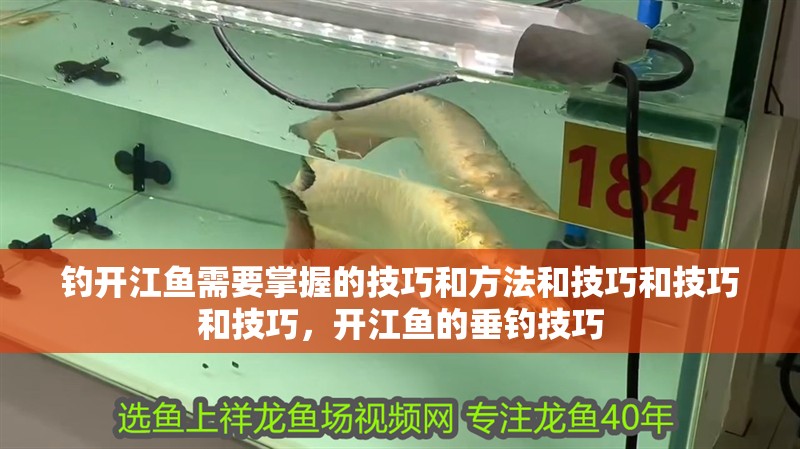 釣開江魚需要掌握的技巧和方法和技巧和技巧和技巧，開江魚的垂釣技巧