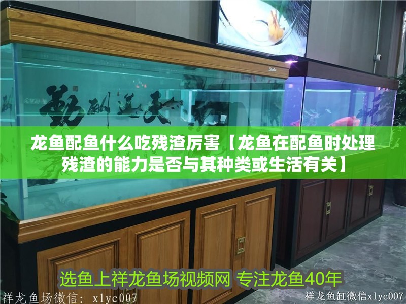 龍魚配魚什么吃殘渣厲害【龍魚在配魚時處理殘渣的能力是否與其種類或生活有關】