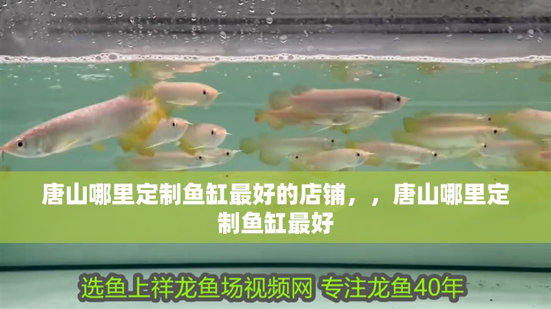 <strong><mark>唐山</mark></strong>哪里定制魚缸最好的店鋪，，<strong><mark>唐山</mark></strong>哪里定制魚缸最好