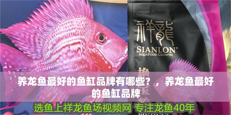 養龍魚最好的魚缸品牌有哪些？，養龍魚最好的魚缸品牌