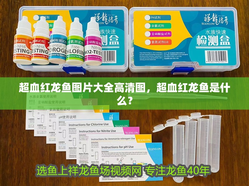 超血紅龍魚圖片大全高清圖，超血紅龍魚是什么？
