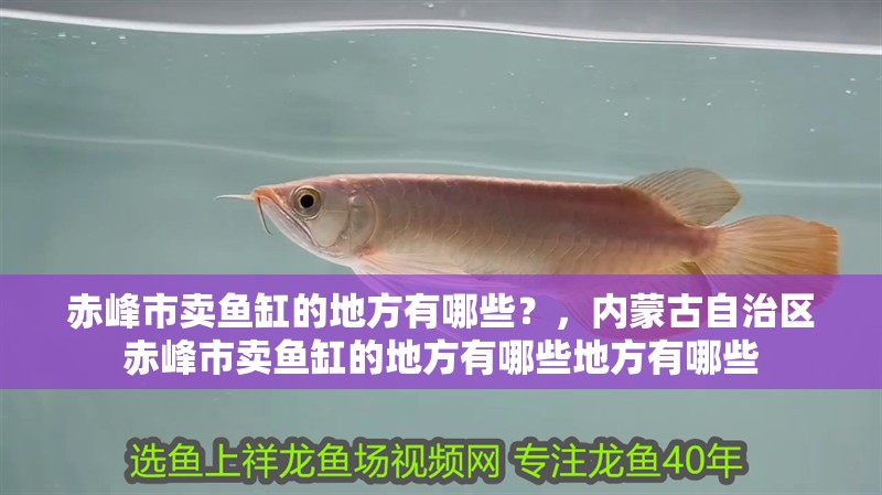 赤峰市賣魚缸的地方有哪些？，內蒙古自治區赤峰市賣魚缸的地方有哪些地方有哪些
