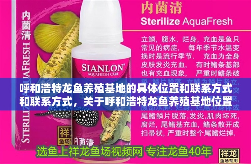 呼和浩特龍魚養殖基地的具體位置和聯系方式和聯系方式，關于呼和浩特龍魚養殖基地位置的問題