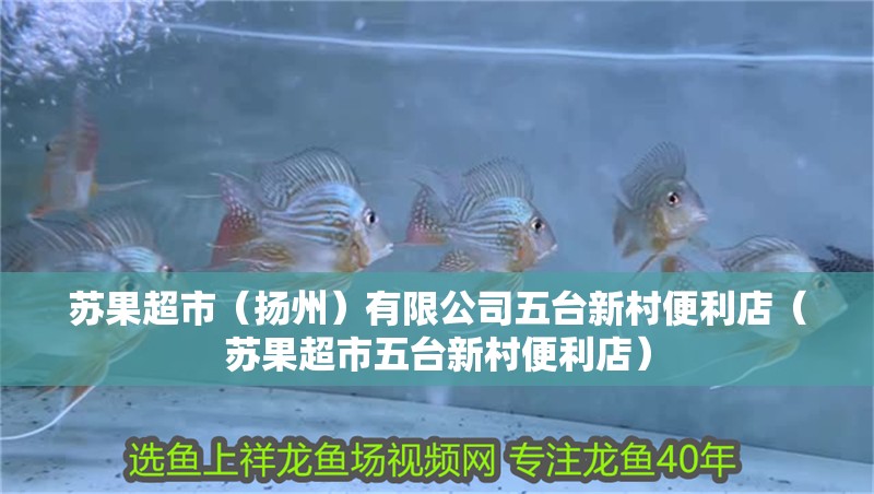 蘇果超市（揚州）有限公司五臺新村便利店（蘇果超市五臺新村便利店）