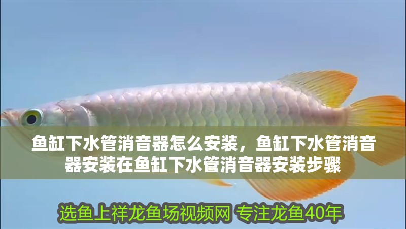 魚缸下水管消音器怎么安裝，魚缸下水管消音器安裝在魚缸下水管消音器安裝步驟