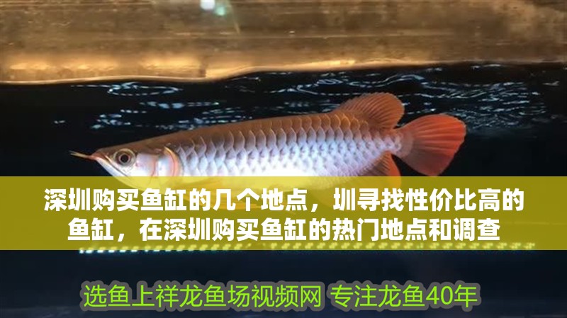 深圳購買魚缸的幾個地點，圳尋找性價比高的魚缸，在深圳購買魚缸的熱門地點和調查