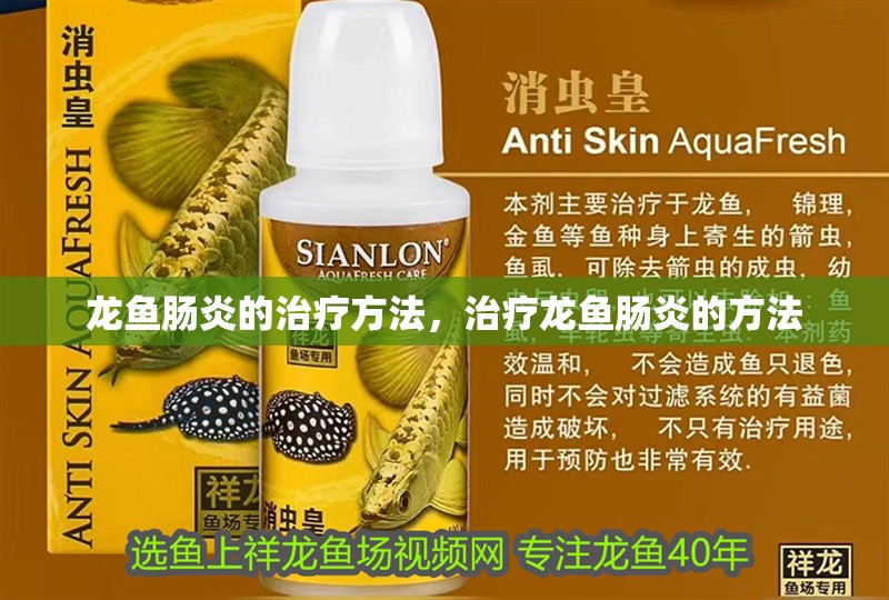 龍魚腸炎的治療方法，治療龍魚腸炎的方法