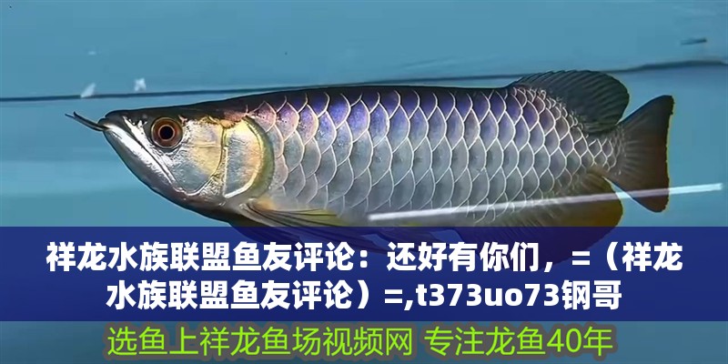祥龍水族聯盟魚友評論：還好有你們，=（祥龍水族聯盟魚友評論）=,t373uo73鋼哥