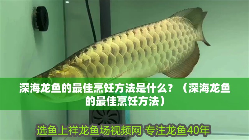 深海龍魚的最佳烹飪方法是什么？（深海龍魚的最佳烹飪方法）