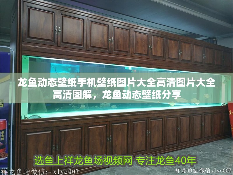 龍魚動態壁紙手機壁紙圖片大全高清圖片大全高清圖解，龍魚動態壁紙分享