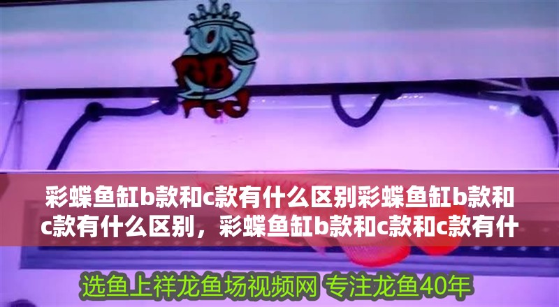 彩蝶魚缸b款和c款有什么區別彩蝶魚缸b款和c款有什么區別，彩蝶魚缸b款和c款和c款有什么區別