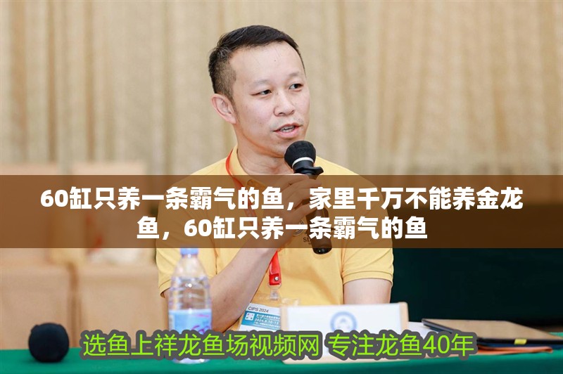 60缸只養一條霸氣的魚，家里千萬不能養金龍魚，60缸只養一條霸氣的魚